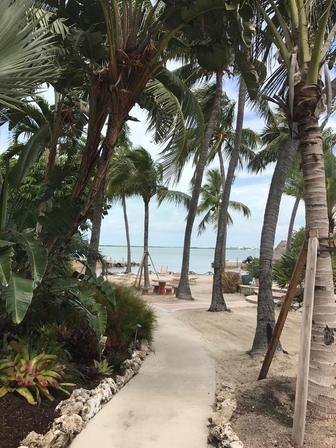 Kona Kai Resort And Gallery (Adults Only) キーラーゴ エクステリア 写真